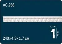 AC 256