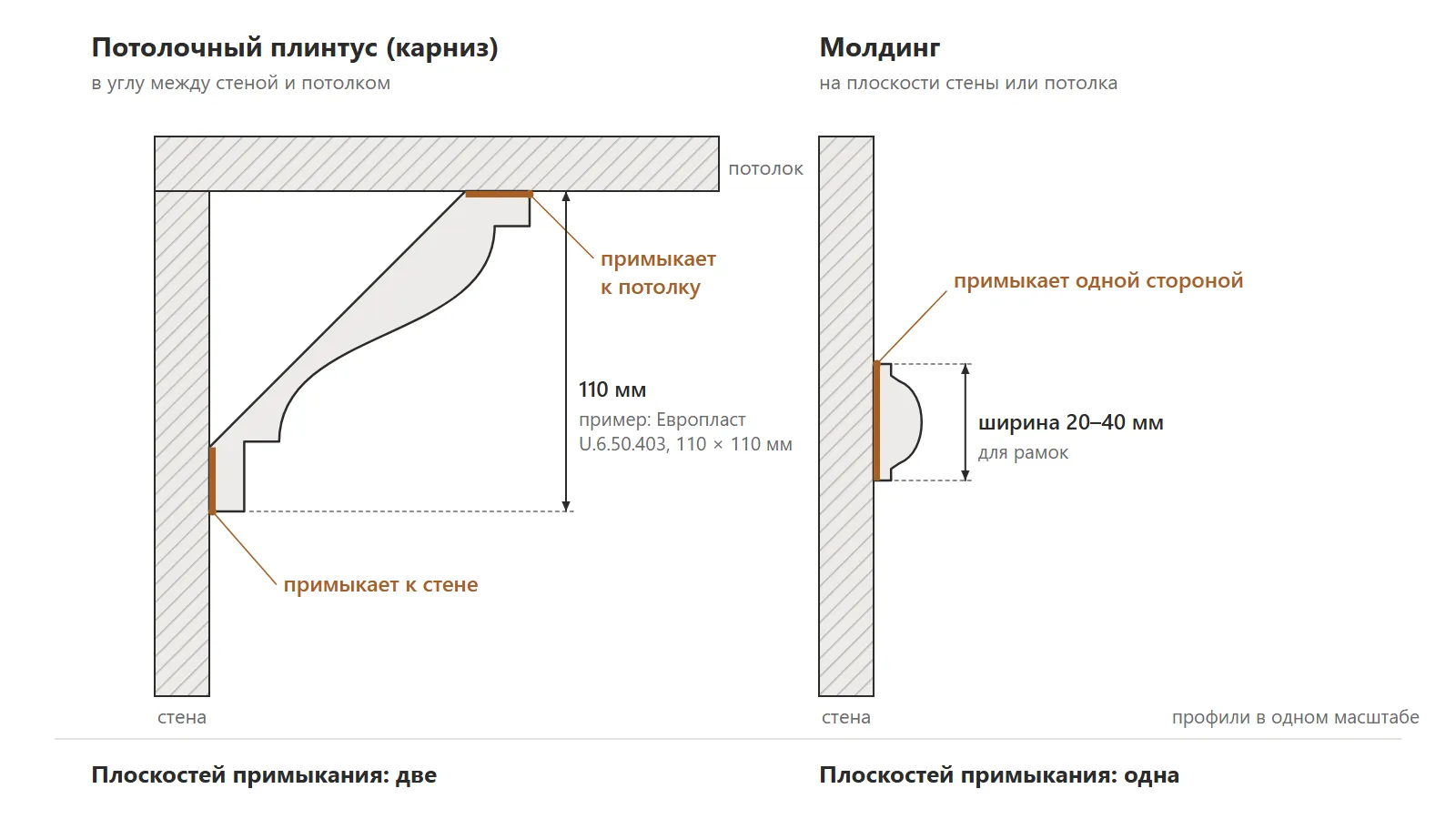 сечение потолочного плинтуса и молдинга сечение потолочного плинтуса и молдинга