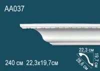 AA037