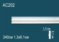 AC202
