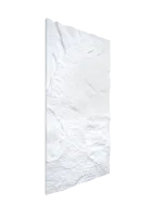 09 (1)