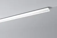 LX48 (MX) y