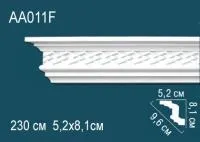 AA011F