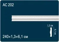 AC202