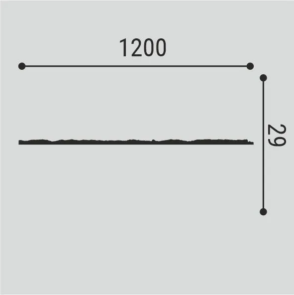 panel-s001-1__1730184854