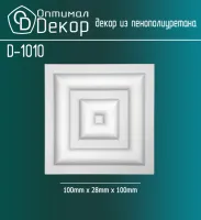 D1010