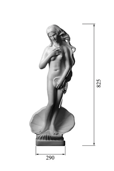 Статуя Афродита DECORUS ST-003