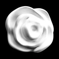 Орнамент из гипса Artpole SDT148