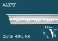 AA079F
