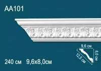 AA101