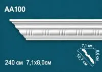 AA100