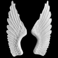 Крылья Artpole SBT18