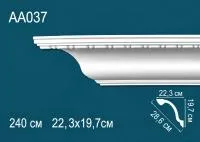 AA037
