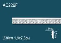 AC229F