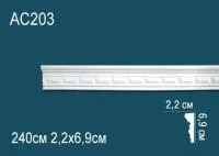 AC203
