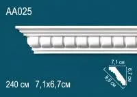 AA025
