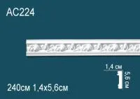 AC224