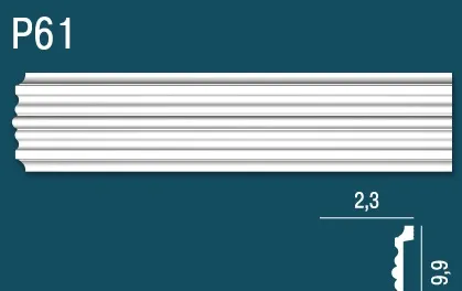 P61_1
