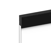 LF1 BK