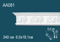 AA081