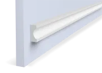 P30 (1)