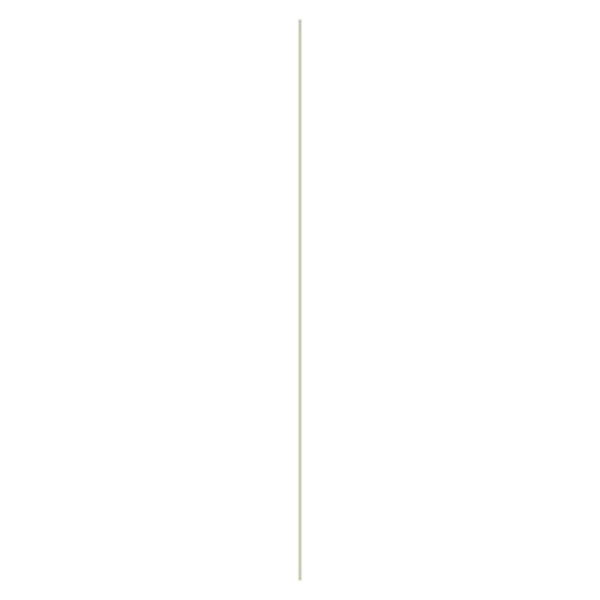 FE WPC 001 BG st-1