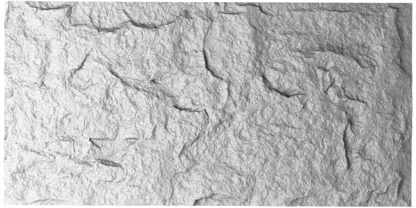 s001-1_1730184855 (1)