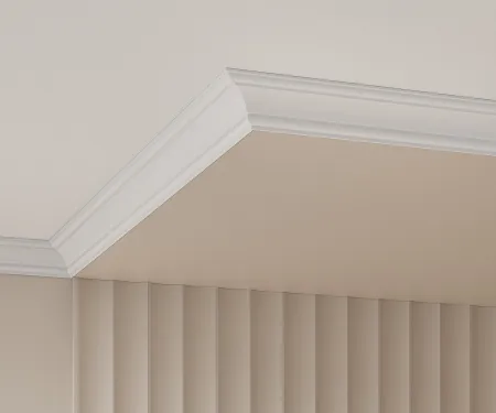 Заглушка COSCA ZP006