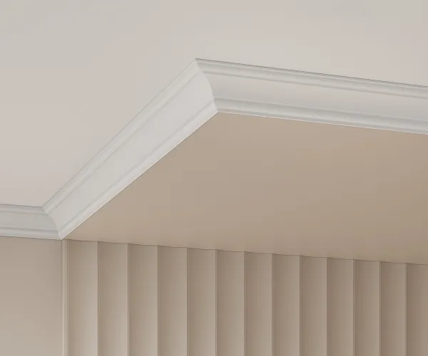 Заглушка COSCA ZL006