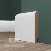 Плинтус напольный Evrowood PN 050