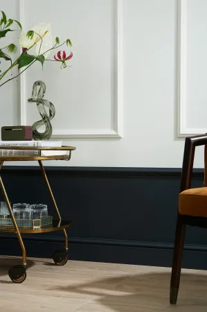 Молдинг NMС WL3