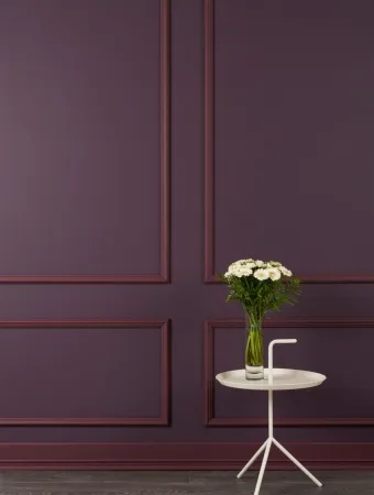 Молдинг NMС WL2