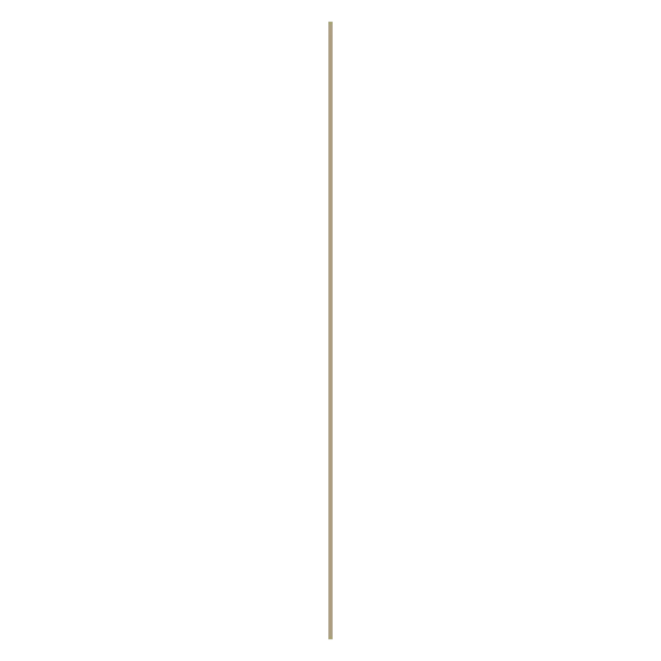 WPC 003 R2-1c