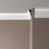 Карниз потолочный Де-Багет ПП 11 50/20