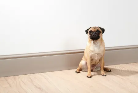 Плинтус напольный NMС FL17