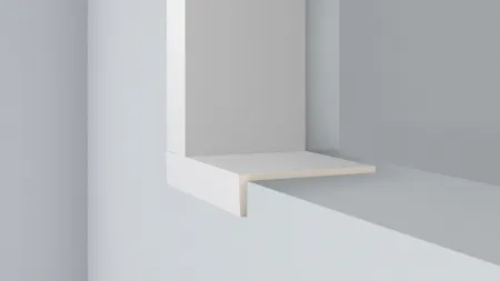 Внешний угол NMС WS1