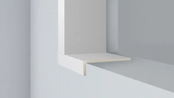 Внешний угол NMС WS1