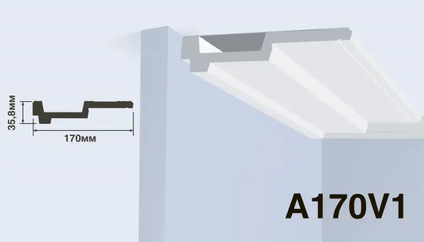 A170V1