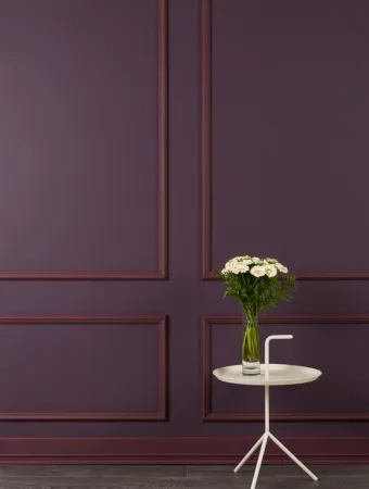 Молдинг NMС WL2