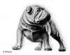 Скульптура Английский бульдог DECORUS ST-012