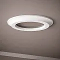 Кольца