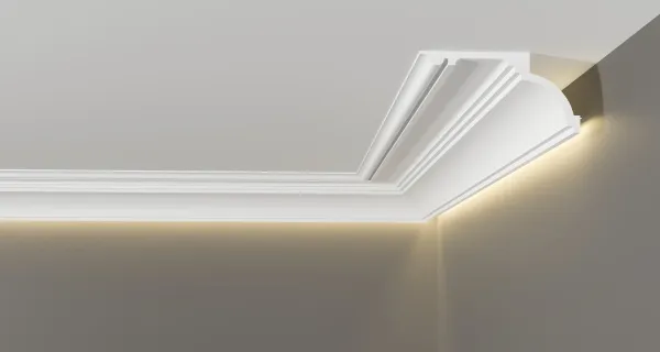 DD517 light_2