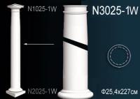N3025-1W