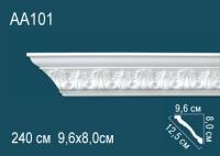 AA101