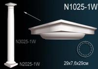 N1025-1W
