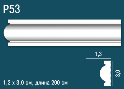 P53