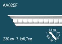 AA025F