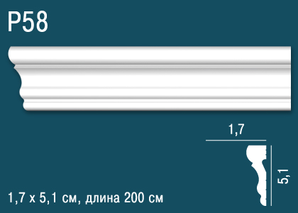 P58