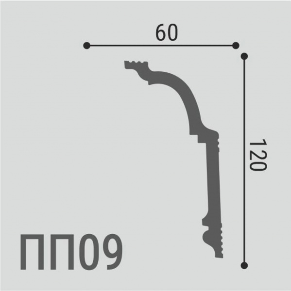 ПП 09