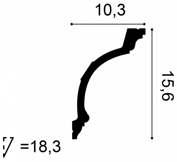 C217_border--image_cross_section